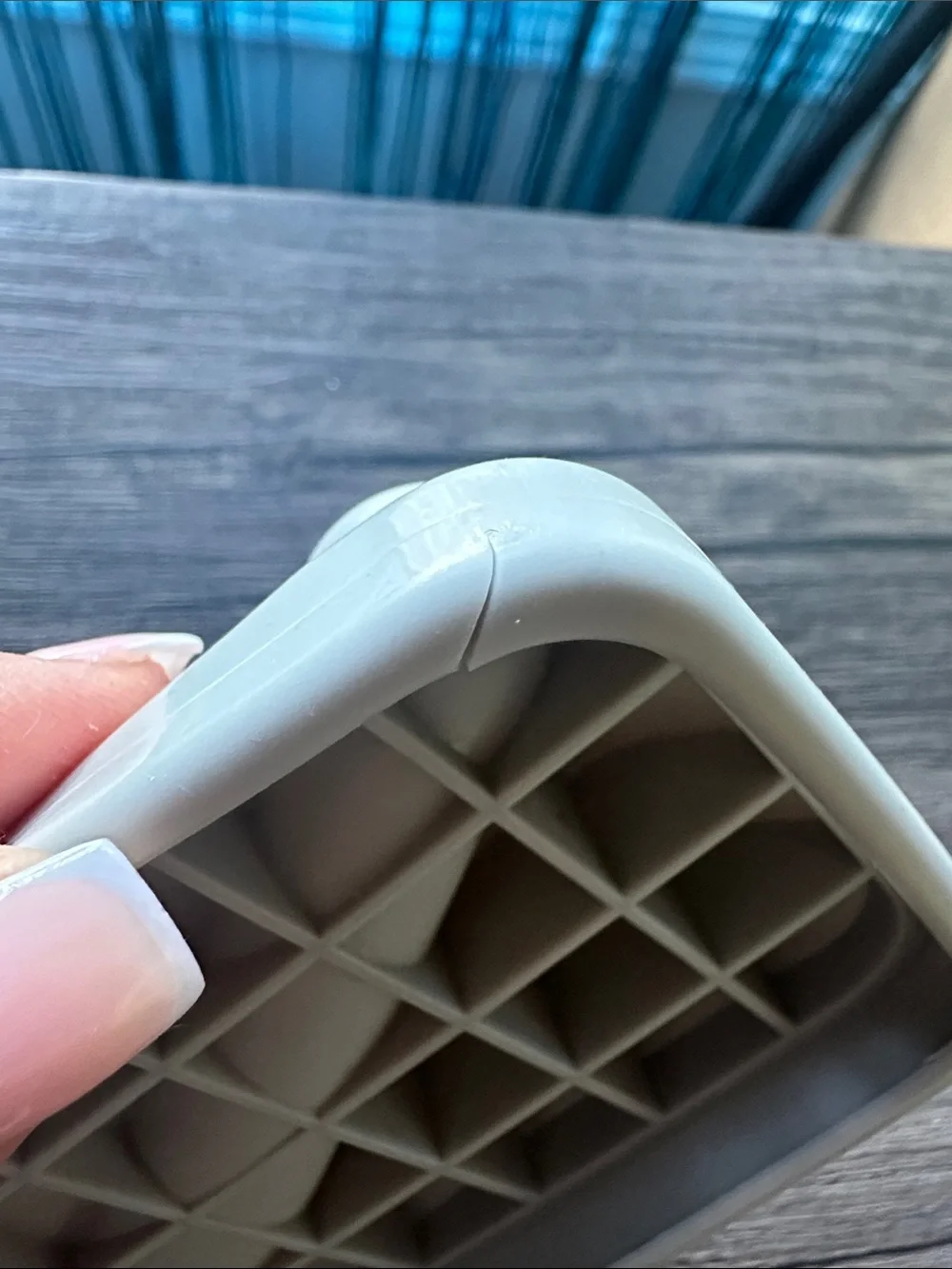 Rhode Lip Case